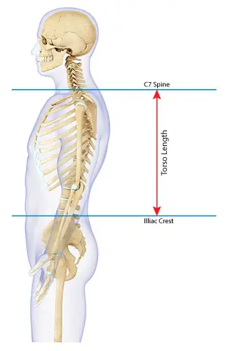 measuring torso for backpack side view