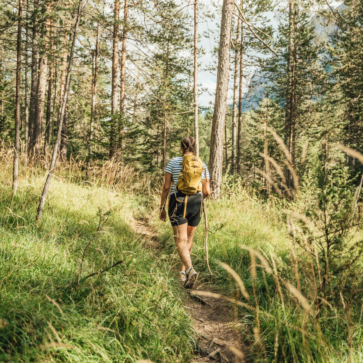 Hiker carrying an outdoor daypack along a forest path, scale reference for a 28-liter pack