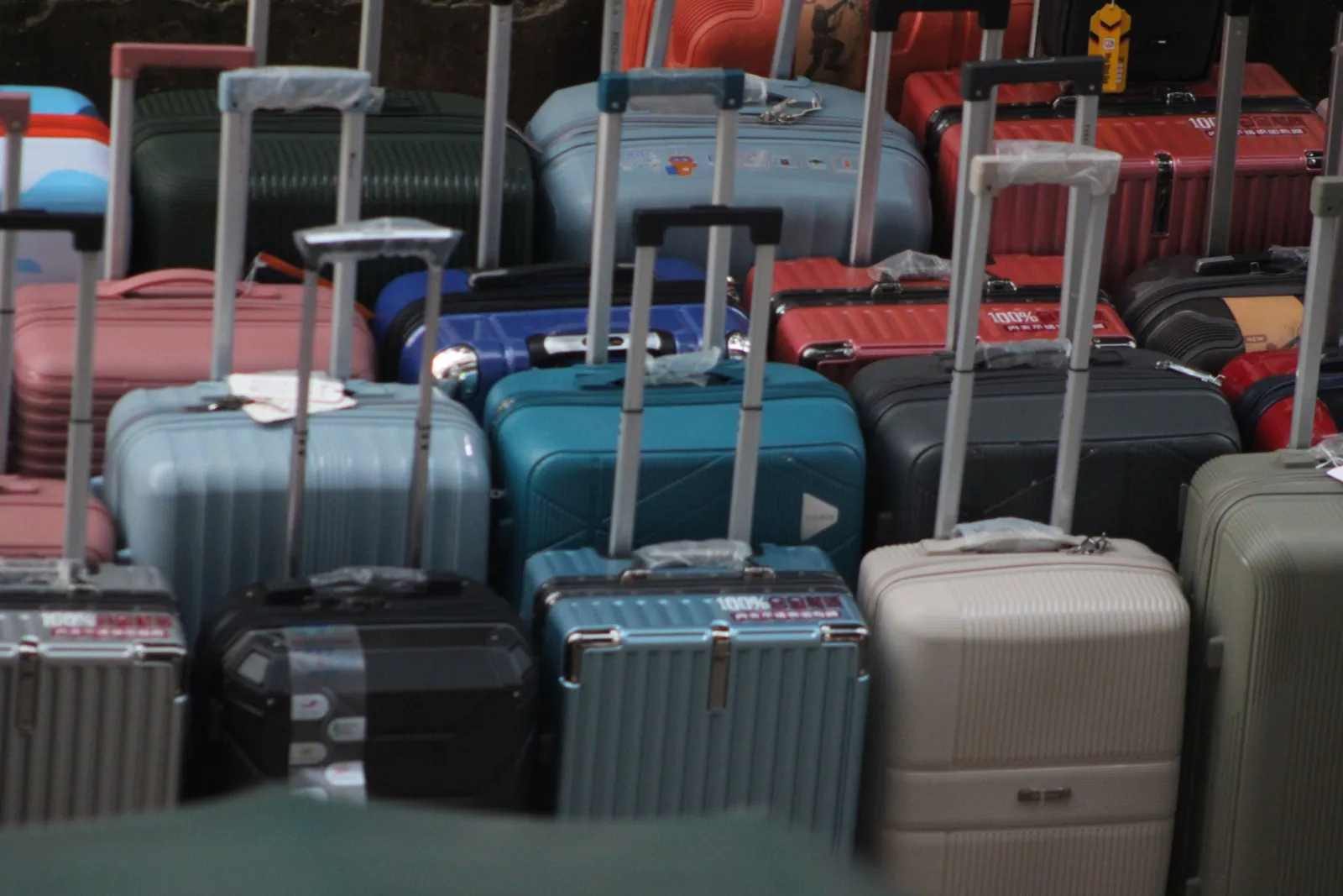 Rows of hardside suitcases in blue, gray, red and cream with their handles extended